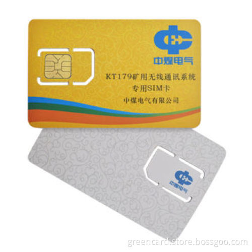 WCDMA/CDMA/CDMA2000 GSM/Dual SIM Card, Supports 3G, PPS, and Clock Stop Mode